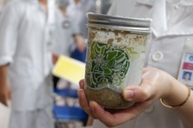 Vụ ngộ độc pate Minh Chay: Cục An toàn thực phẩm nói gì?