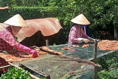 Bơi xuồng giăng lưới cá, xẻ từng con phơi khô gửi đồng hương ở vùng dịch