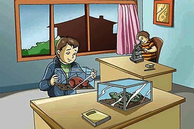 Nghiên cứu KHCN ít được quan tâm thích đáng trong cơ chế thị trường