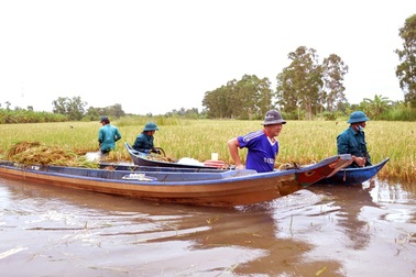 Cà Mau: Hạn chế liên hoan, vui chơi... để ứng phó, khắc phục thiên tai
