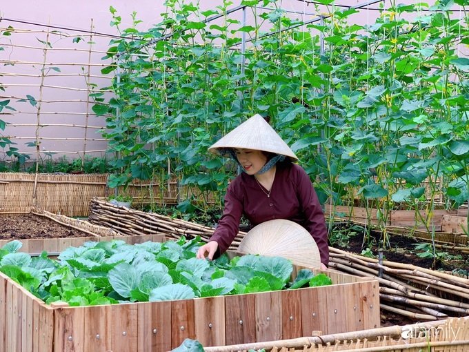 Nghỉ dịch Covid, gia đình trẻ gắn kết yêu thương bằng cách cải tạo vườn rau xanh tốt giữa lòng Sài Gòn - Ảnh 2.