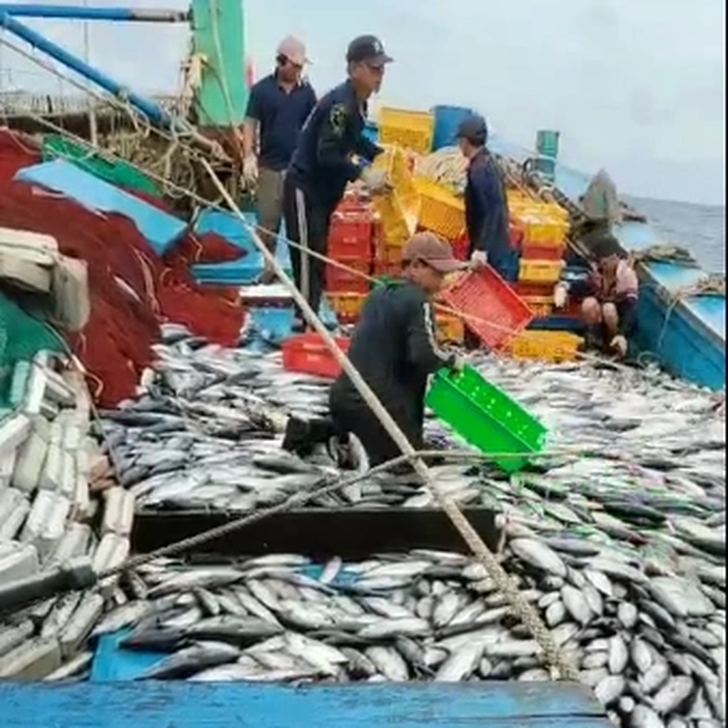 Ngư dân tỷ phú ở làng biển nhiều biệt thự nhất Bình Định - 2