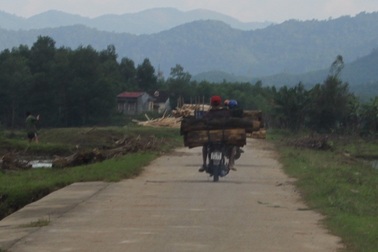 Lâm tặc lộng hành, chính quyền bất lực