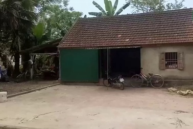 Video: Quặn thắt trước cảnh 3 anh em mồ côi cả cha lẫn mẹ lần lượt phải bỏ học