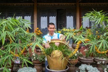 Gặp chủ nhân chậu tre bonsai đặt trong tiệc trà Tổng Bí thư