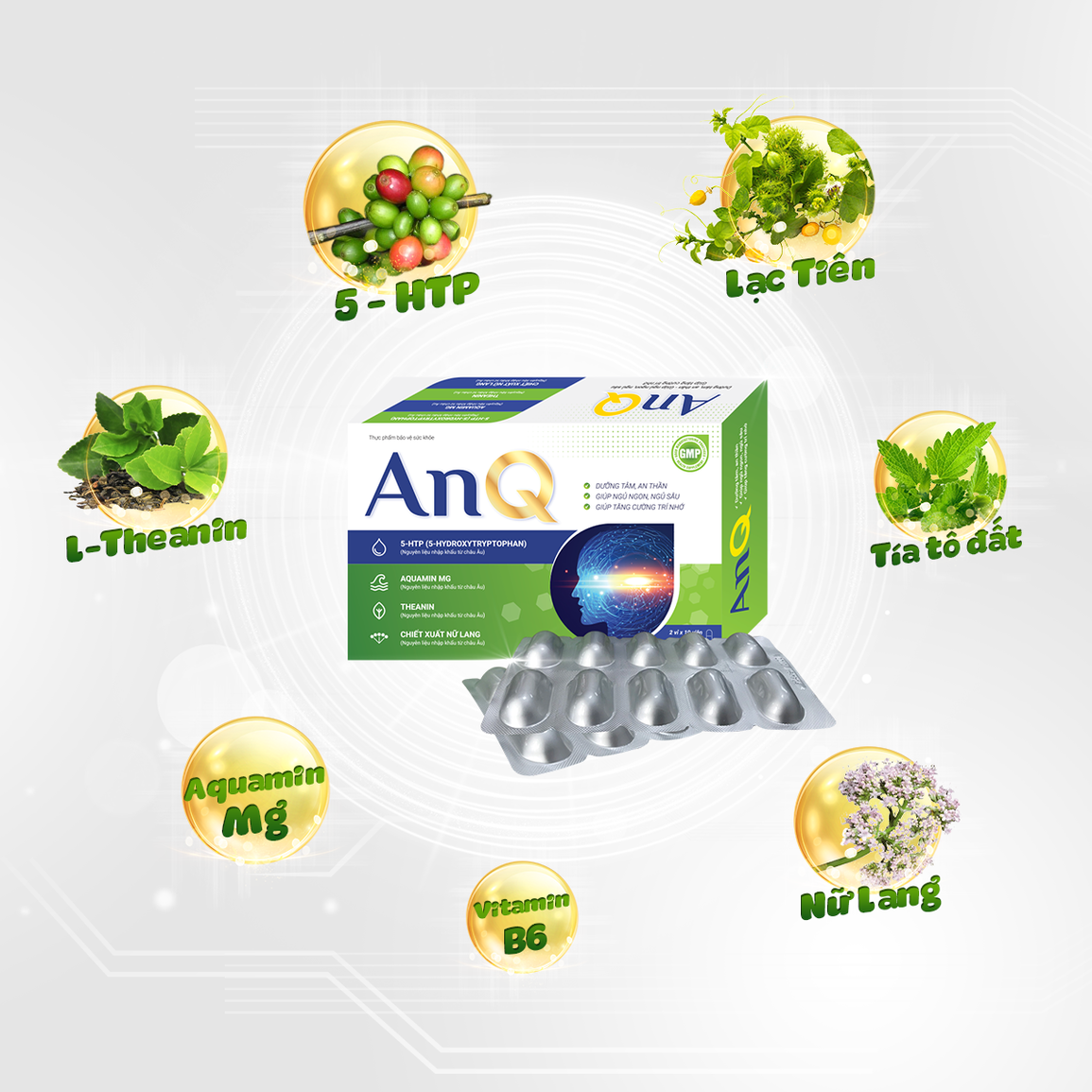 AnQ - giải pháp mới từ đông dược cho bệnh nhân rối loạn giấc ngủ - 5 AnQ - giải pháp mới từ đông dược cho bệnh nhân rối loạn giấc ngủ - 5