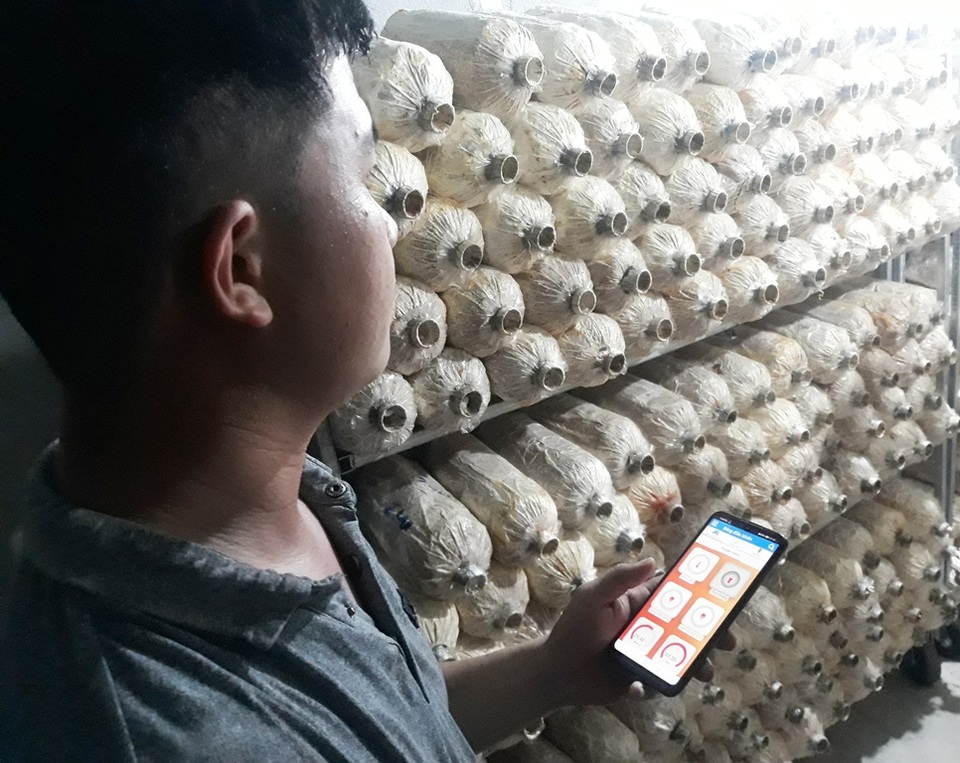 Kỳ lạ: Rót 500 triệu đồng, ngồi một chỗ điều khiển nấm mọc theo ý muốn - 2 Kỳ lạ: Rót 500 triệu đồng, ngồi một chỗ điều khiển nấm mọc theo ý muốn - 2
