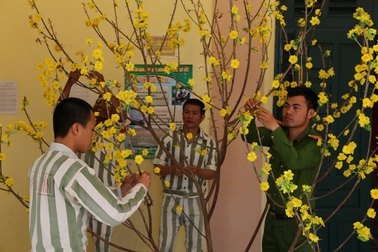 Phạm nhân gói bánh, trang trí trại giam đón Tết Mậu Tuất