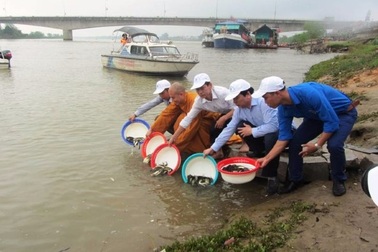 Thả 1 tấn cá giống xuống sông, 5 vạn tôm giống xuống biển