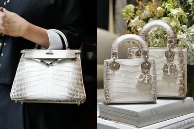 Loạt thiết kế da cá sấu siêu hiếm giống túi Hermès bà Trương Mỹ Lan xin lại