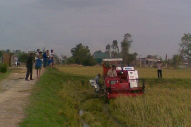 Cơ giới hóa thu hoạch lúa ở Nghệ An: Khó triển khai vì chưa phù hợp