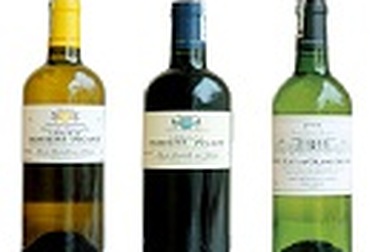 Cùng Vang thêm lửa cho tiệc mừng năm mới