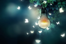 Vì sao những con thiêu thân lại bị ánh sáng hấp dẫn?