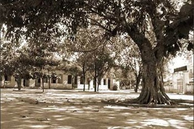 Dòng sông thời gian