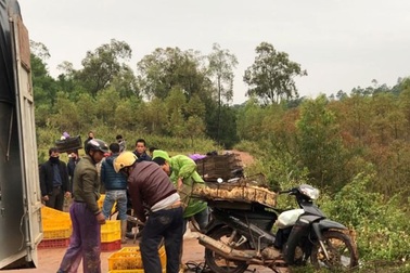 Bộ trưởng Bộ Nông nghiệp cảnh báo nguy cơ cao xâm nhiễm các dịch bệnh nguy hiểm dịp Tết