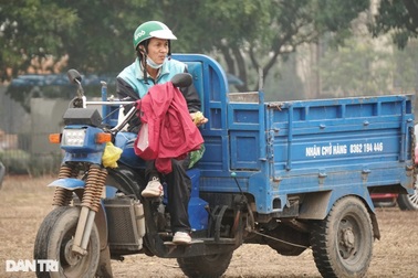 Chủ buôn cây cảnh lo ế hàng, người vận chuyển "mỏi mắt" tìm việc