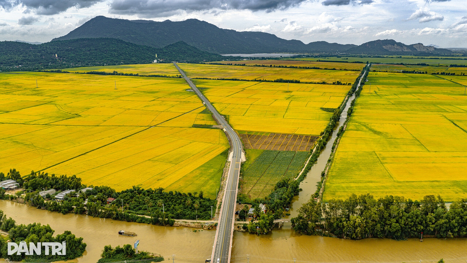 Đoạn đường hơn 4km ở miền Tây gây sốt mạng xã hội nhờ thiết kế ấn tượng - 9