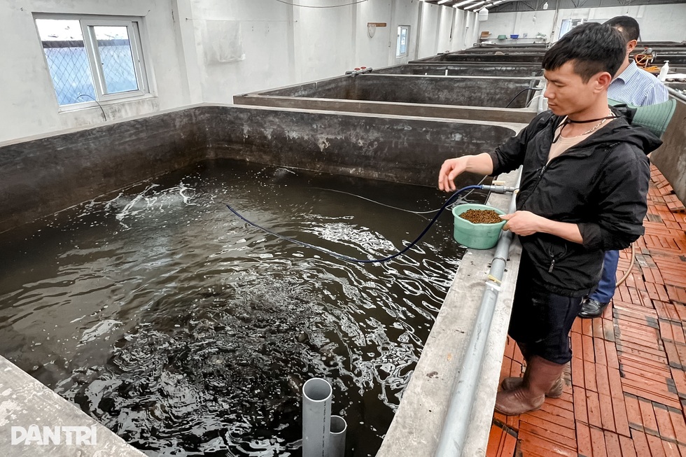 Nghe lời cha, 10 anh em cầm sổ đỏ để đánh bạc với trời - 7 Nghe lời cha, 10 anh em cầm sổ đỏ để đánh bạc với trời - 7