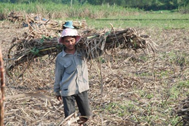 Người thân chủ tịch Sacombank: Buông ngân hàng, bắt mía đường 