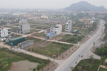 Không nghe vợ khuyên, nhà đầu tư đất nền mất ngay nhiều tỷ đồng