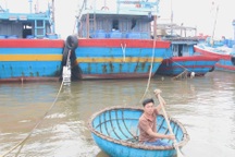 Hơn 900 tàu cá "3 không" đang hoạt động trên biển, cảnh báo trước ngày 30/9