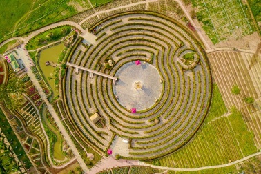 Lạc vào mê cung hoa khổng lồ tại Hà Nội