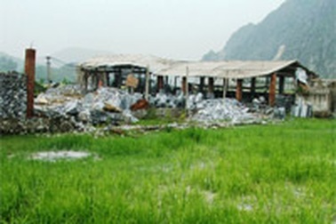 Chỉ đạo xử lý vụ doanh nghiệp “giết” lúa của dân