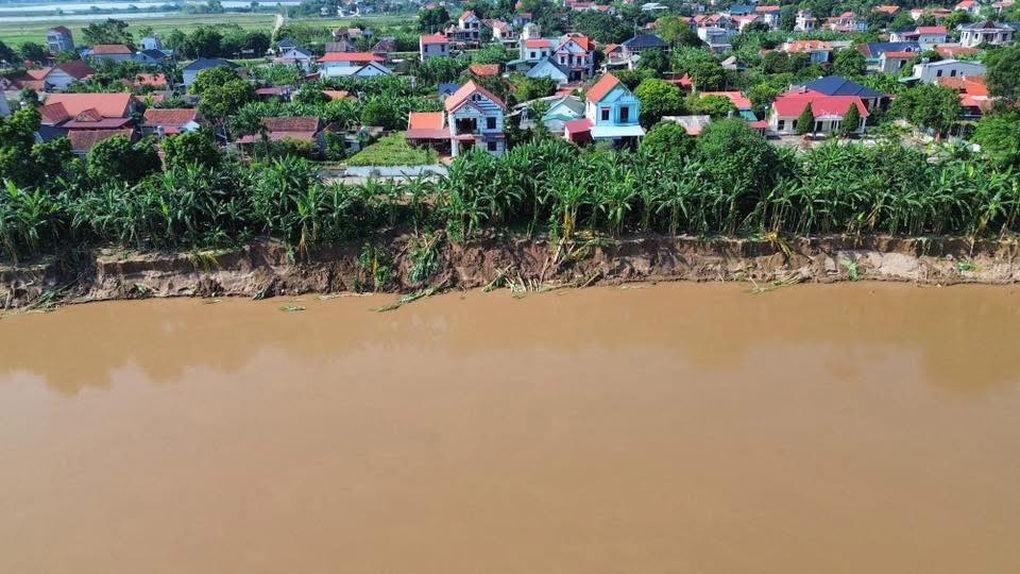 Sạt lở đê sông Thao ở Phú Thọ uy hiếp nhiều hộ dân - 2 Sạt lở đê sông Thao ở Phú Thọ uy hiếp nhiều hộ dân - 2