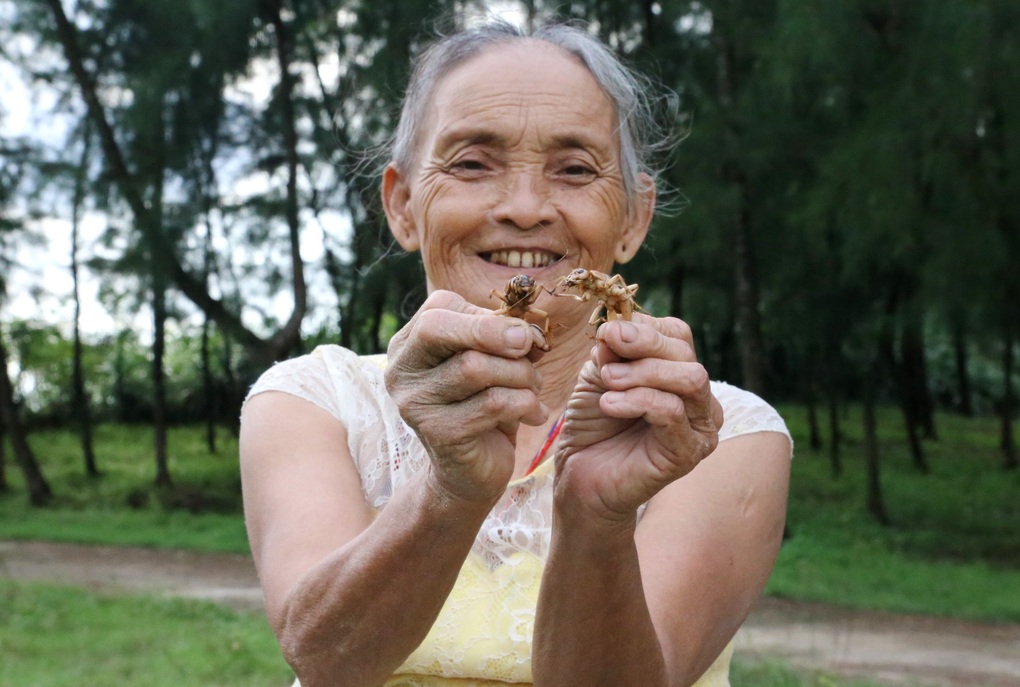 Đổ xô đi săn loài côn trùng phiêu lưu ký - 3 Đổ xô đi săn loài côn trùng phiêu lưu ký - 3