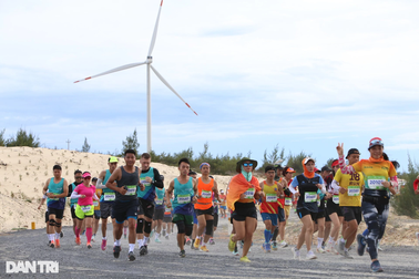 Hơn 2.000 VĐV chạy marathon xuyên cánh đồng điện gió lớn nhất Việt Nam