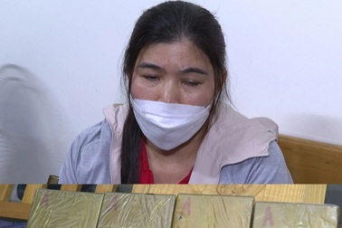 Bắt quả tang "nữ quái" tuồn cả cân ma túy vào quán karaoke, vũ trường