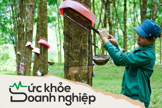 "Sức khỏe" của đại gia ngành cao su trước khi Nhà nước thoái vốn