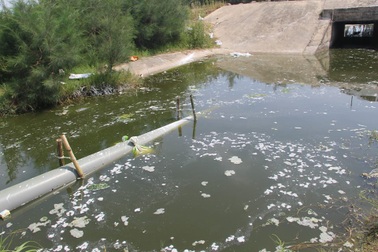 Kinh hãi dòng nước đen ngòm từ hồ tôm xả thẳng ra biển