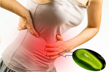 Vi khuẩn H.P có thể lây được, ung thư dạ dày có lây không?