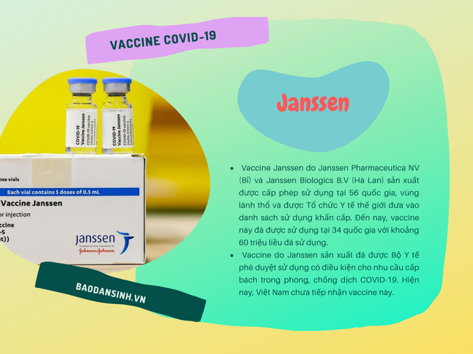 Các loại vaccine đã được cấp phép tại Việt Nam - Ảnh 6.