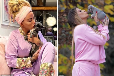 36.000 người mong người mẫu làm chết 7 vật nuôi không nuôi thú cưng nữa