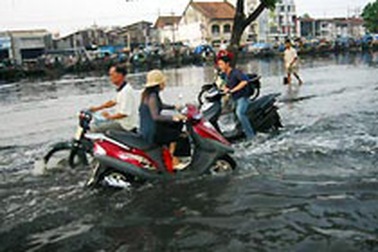 Triều cường gây vỡ đê bao TPHCM