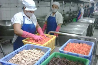 Bệnh nghề nghiệp tăng cao