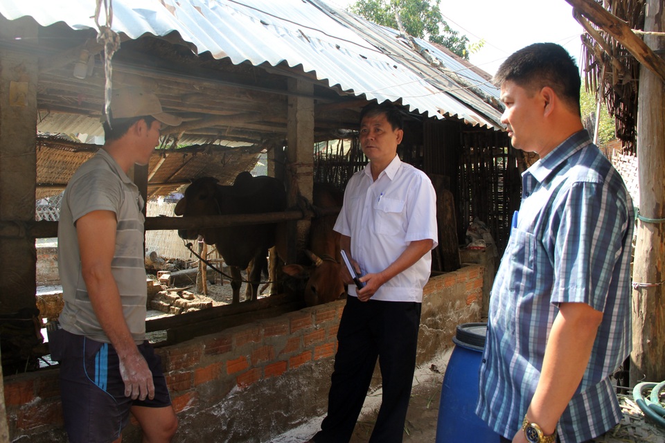 Phú Yên: Gia súc ngã bệnh chết hàng loạt, cán bộ thú y nói chỉ vài con - 4 Phú Yên: Gia súc ngã bệnh chết hàng loạt, cán bộ thú y nói chỉ vài con - 4