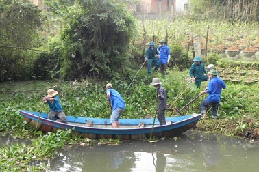 Bình Định: Hơn 1.000 đoàn viên đồng loạt ra quân “Ngày chủ nhật xanh”