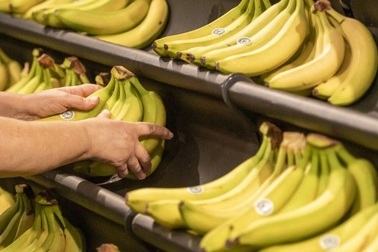 Thổ Nhĩ Kỳ trục xuất 7 người tị nạn Syria vì đăng ảnh ăn chuối lên mạng