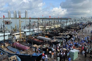 Bất chấp và khiêu khích