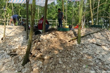 Phát hiện nhiều vỏ điệp trong hố khai quật 3 bộ xương người Việt cổ