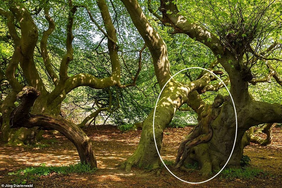 Bạn có nhìn thấy người mẫu khỏa thân trong ảnh này? - 18 Bạn có nhìn thấy người mẫu khỏa thân trong ảnh này? - 18