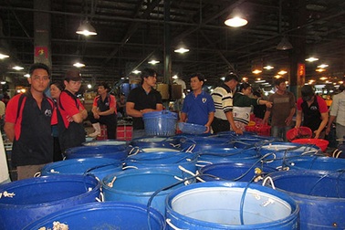 Hàng Tết sẽ đầy ắp chợ