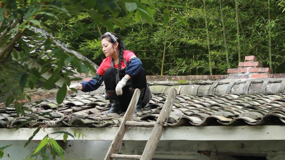 Bỏ phố về quê làm vườn, cô gái vô danh bỗng trở nên nổi tiếng - 5 Bỏ phố về quê làm vườn, cô gái vô danh bỗng trở nên nổi tiếng - 5