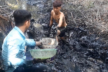 Háo hức tát ao, bắt cá ngày Tết