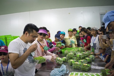 Vân “Sống chung với mẹ chồng” đi xem trồng rau sạch với Tự Long