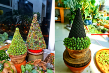 Cô gái Hà Nội dựng cây thông Noel từ hàng trăm cây sen đá mini