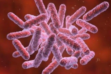 Cháu bé 4 tuổi bị nhiễm vi khuẩn "ăn thịt người"